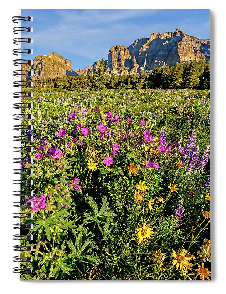 Glacier National Park Spiral Notebook featuring the photograph Wild Flowers at Glacier National Park by Jack Bell
