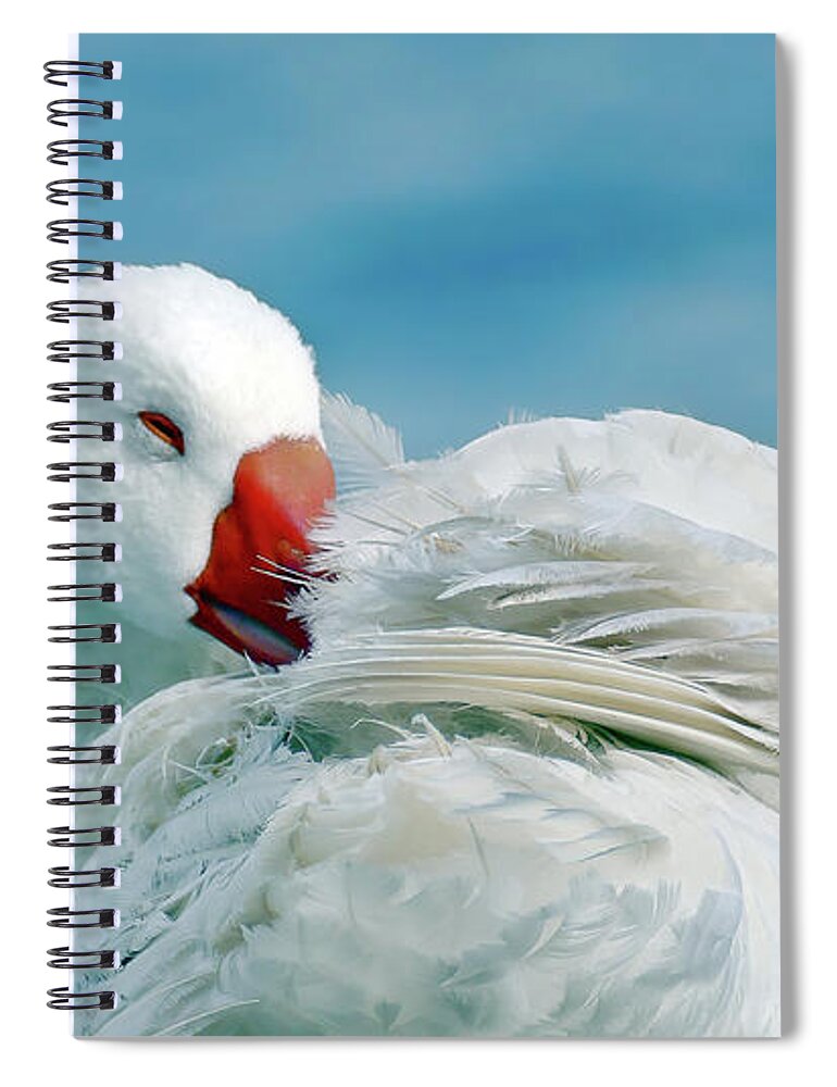 Wild Geese Spiral Notebook featuring the digital art Wild Geese 21 by Kevin Chippindall
