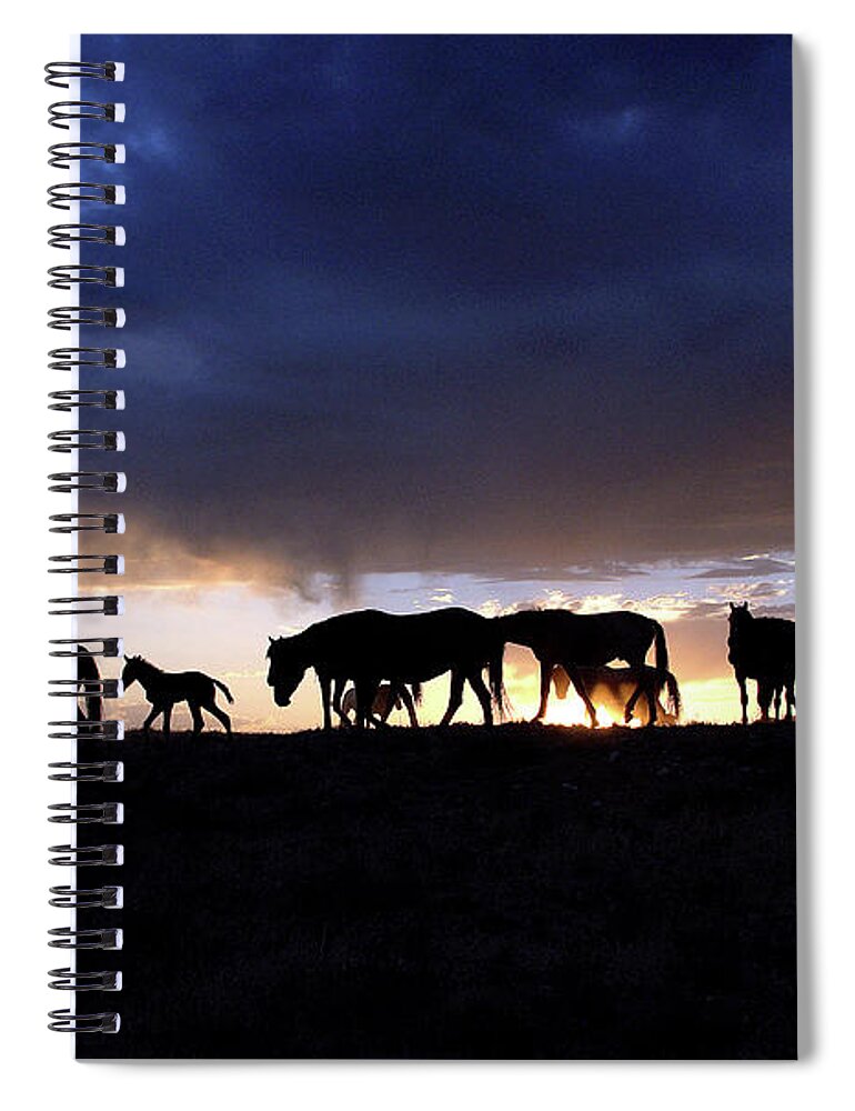 Wild Horse Spiral Notebook featuring the photograph Wild Horse Color Silhouette by Dirk Johnson