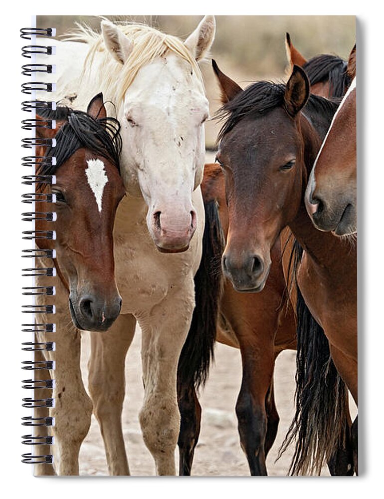 Wild Horses Spiral Notebook featuring the photograph Wild Horse Huddle by Wesley Aston