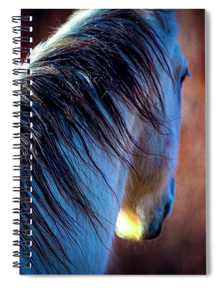 Horse Spiral Notebook featuring the photograph Wild Horse No. 2 by Craig J Satterlee