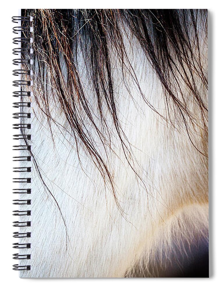 I Love The Beauty Of The Outdoors And Its Natural Wildlife. This Wild Horse Was Shot In The Pryor Mountain Wild Horse Range. Spiral Notebook featuring the photograph Wild Horse No. 5 by Craig J Satterlee