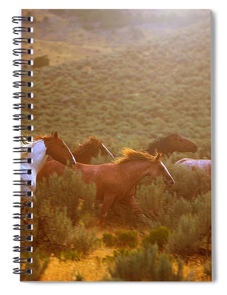Horse Spiral Notebook featuring the photograph Wild Horses Running at Sunset by Diane Diederich