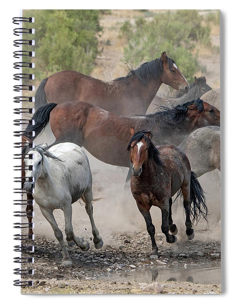 Wild Horses Spiral Notebook featuring the photograph Wild Horses Utah by Wesley Aston