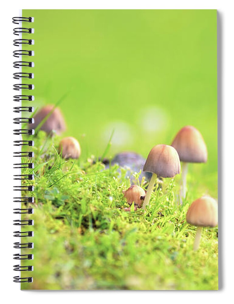 Plants Spiral Notebook featuring the photograph Wild Mushroom Cluster - Nature Photography by Amelia Pearn
