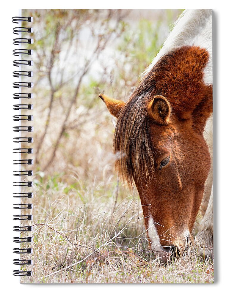 Farm Horses Spiral Notebook featuring the photograph Wild Pinto - Spotted Horse by Rehna George