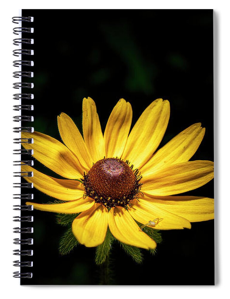 Blumwurks Spiral Notebook featuring the photograph Wildflower by Matthew Blum