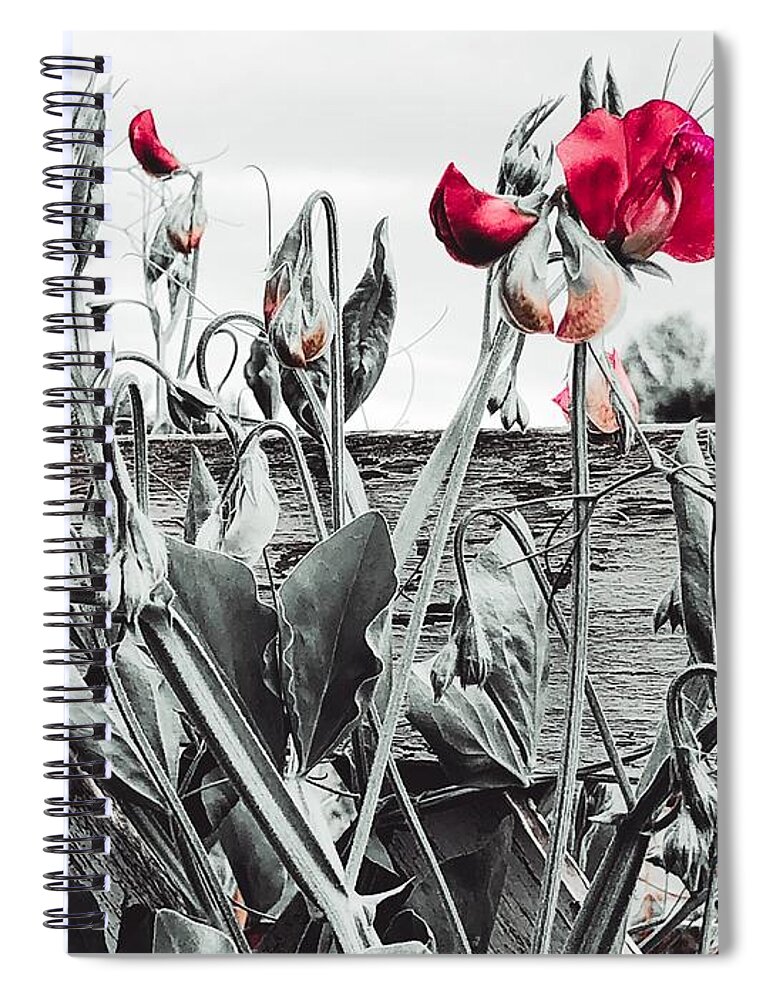 Selective Coloring Spiral Notebook featuring the photograph Wildflowers Color Splash by Bonnie Bruno
