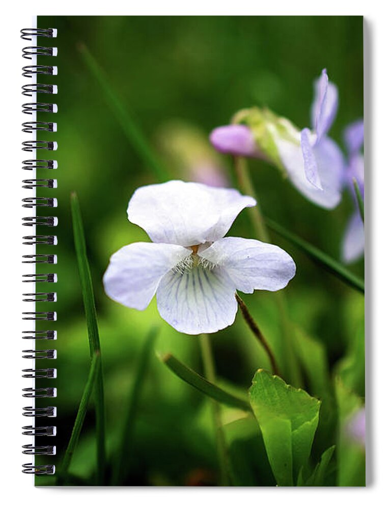 Wildflowers Spiral Notebook featuring the photograph Wildflowers by Gwen Gibson