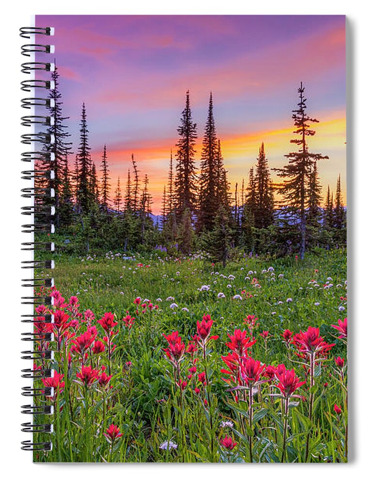 Indian Painbrush Spiral Notebook featuring the photograph Wildflowers Mount Revelstoke by Michael Wheatley