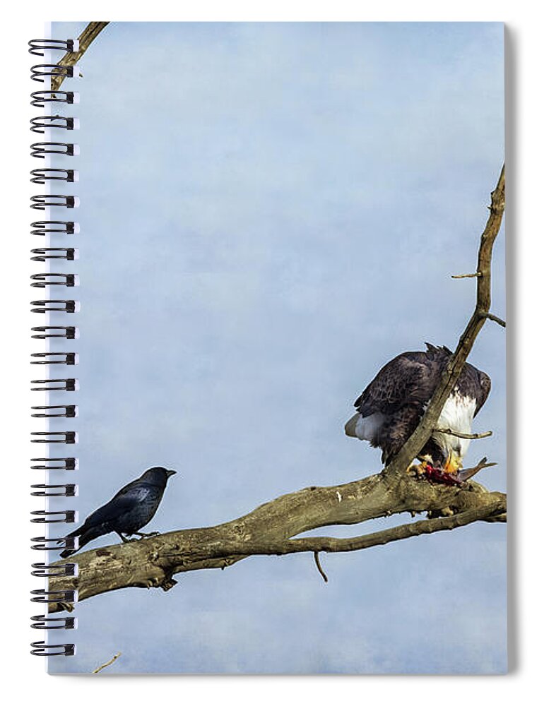 Fish Spiral Notebook featuring the photograph Will You Share by James BO Insogna