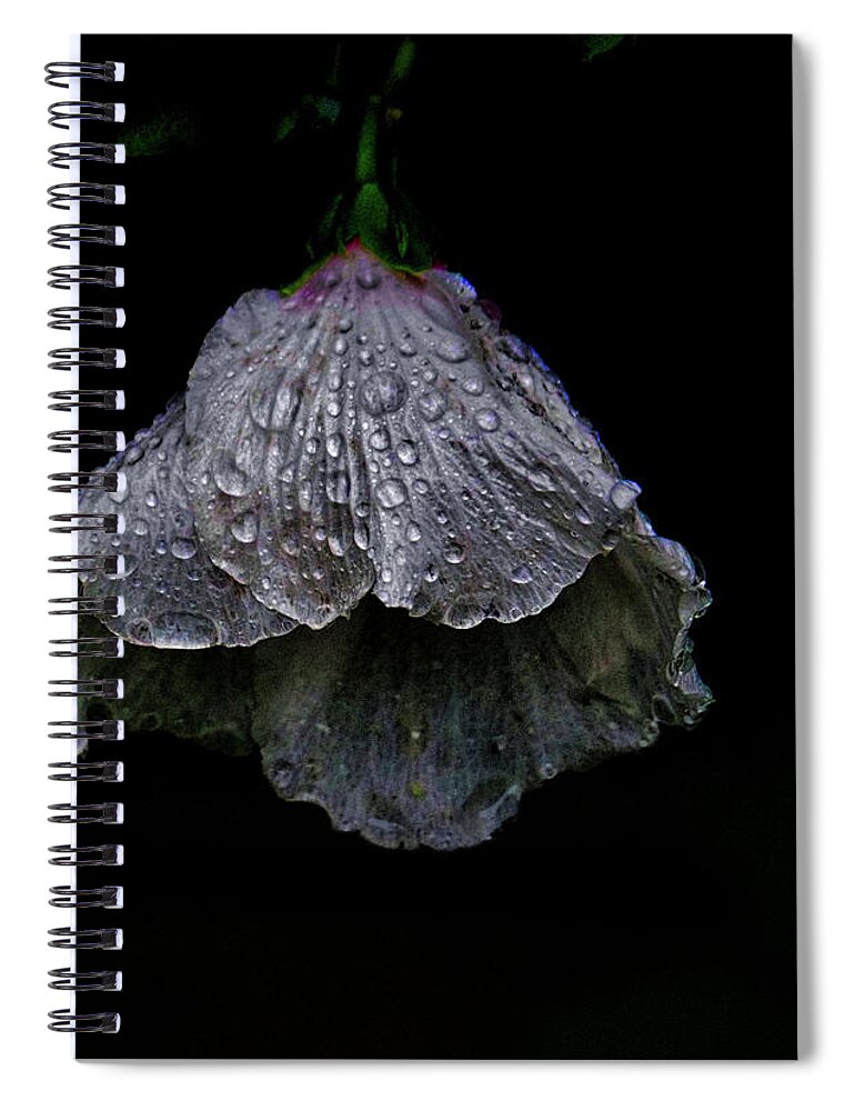 Flower Spiral Notebook featuring the photograph Wilt by Judy Cuddehe