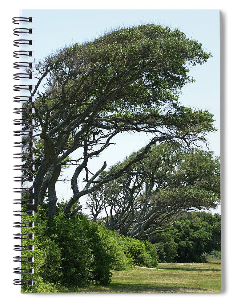  Spiral Notebook featuring the photograph Wind Blown by Heather E Harman