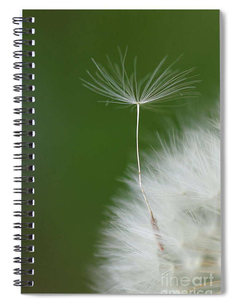 Flower Spiral Notebook featuring the photograph Wind by Elbegzaya Lkhagvasuren
