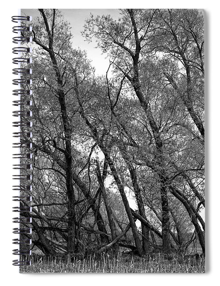  Spiral Notebook featuring the photograph Wind Row - St Johns, Michigan USA by Edward Shotwell