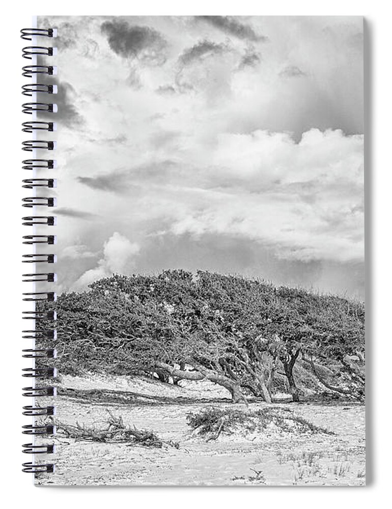 Live Oak Spiral Notebook featuring the photograph Wind Swept Live Oaks - Cedar Island North Carolina by Bob Decker