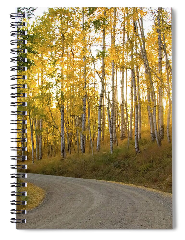 Colorado Spiral Notebook featuring the photograph Winding Road by Wesley Aston