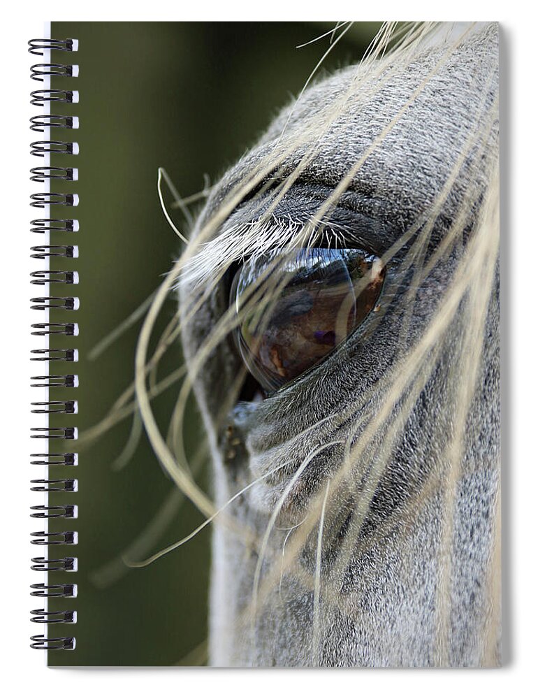 Horse Spiral Notebook featuring the photograph Window of the Soul by M Kathleen Warren