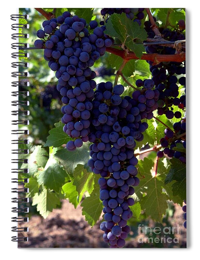 Grapes Spiral Notebook featuring the photograph Wine Grapes by Charlene Mitchell