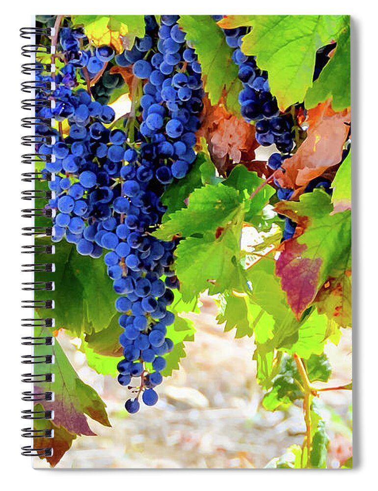 David Lawson Photography Spiral Notebook featuring the photograph Wine In Time by David Lawson