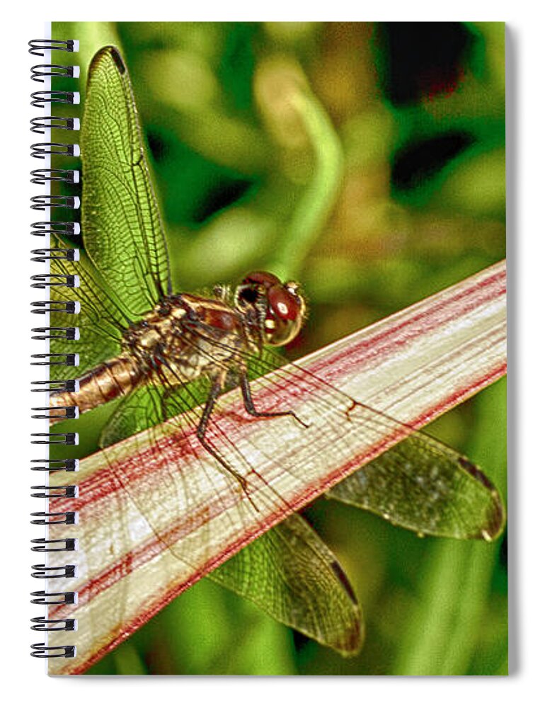 Dragonfly Spiral Notebook featuring the photograph Winged Dragon by Bill Barber