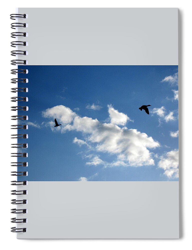 Ducks Spiral Notebook featuring the photograph Winged Silhouette by Katie Keenan