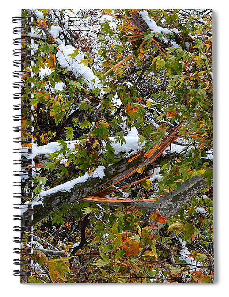 Winter Spiral Notebook featuring the photograph Winter Abstract Three by Glenn McCarthy Art and Photography