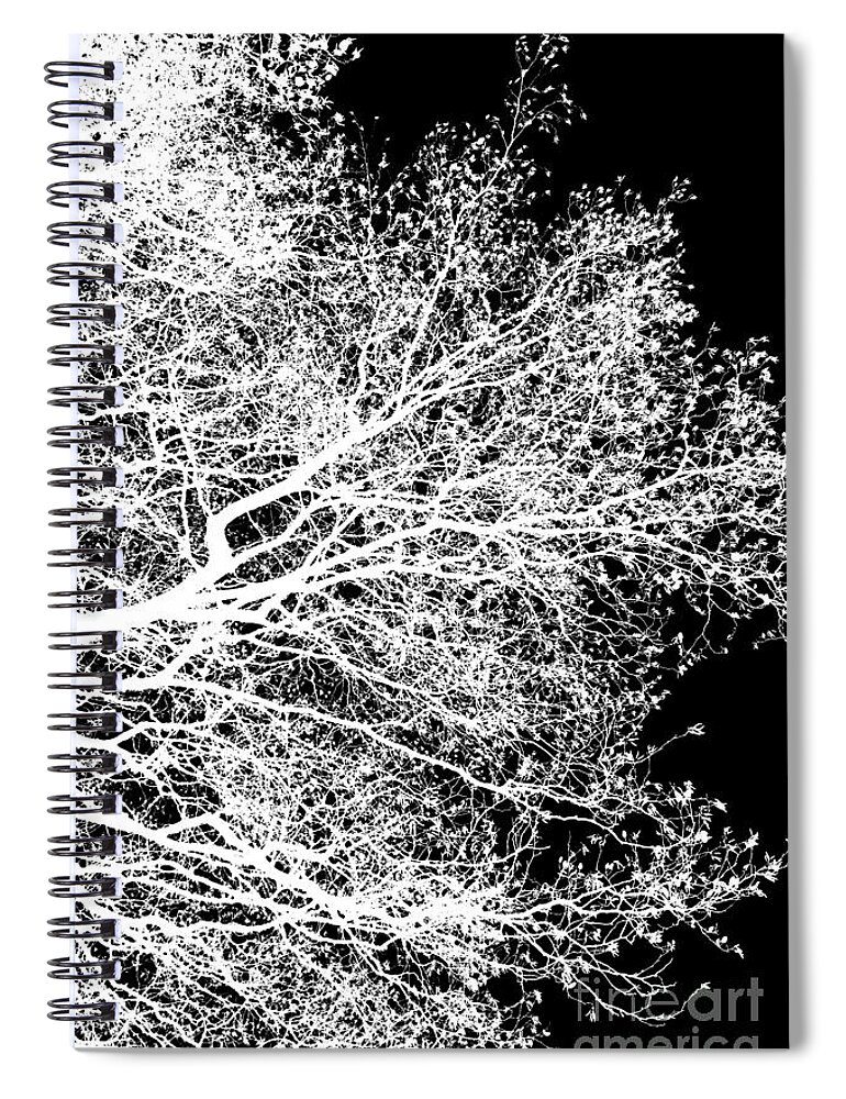 Alder Spiral Notebook featuring the photograph Winter alder 1, monochrome inverted by Paul Boizot