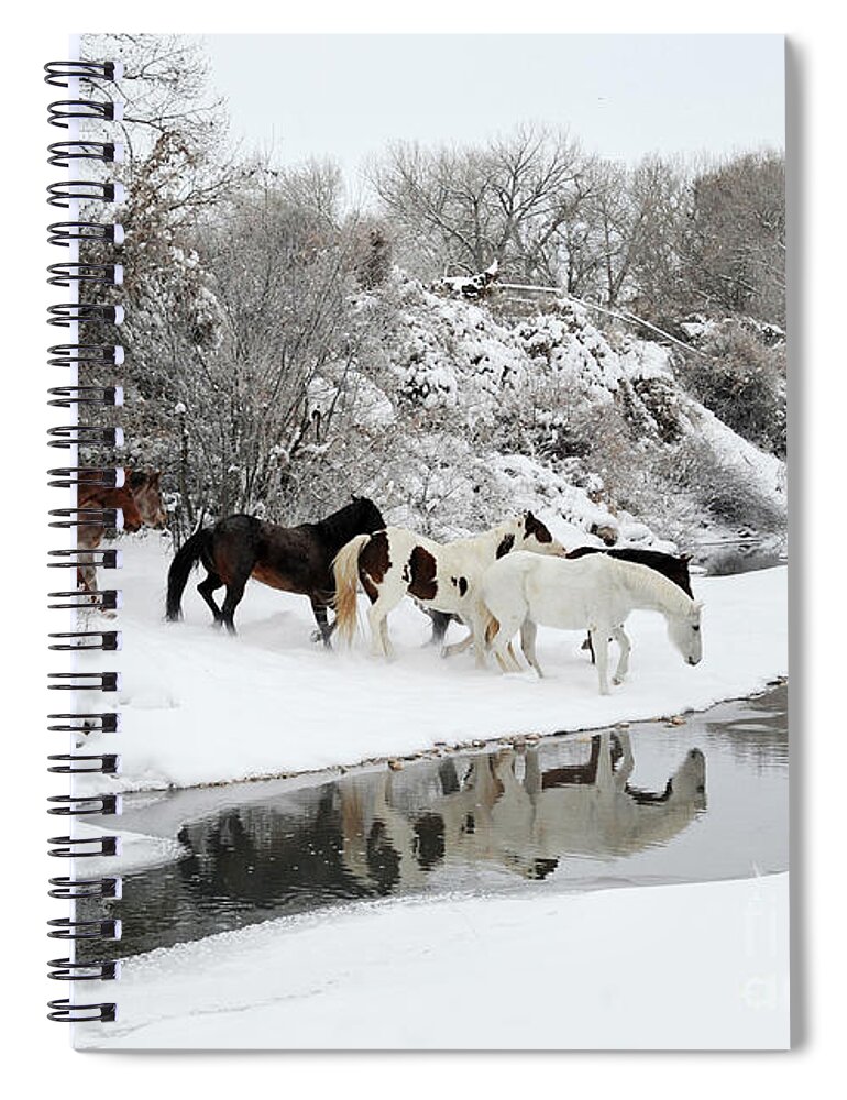 Hideout Ranch Spiral Notebook featuring the photograph Winter at the Hideout by Carien Schippers