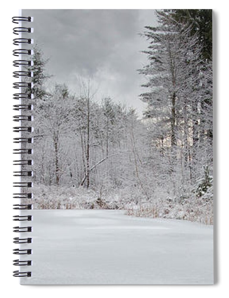 Winter Spiral Notebook featuring the photograph Winter at the Pond by Moira Law