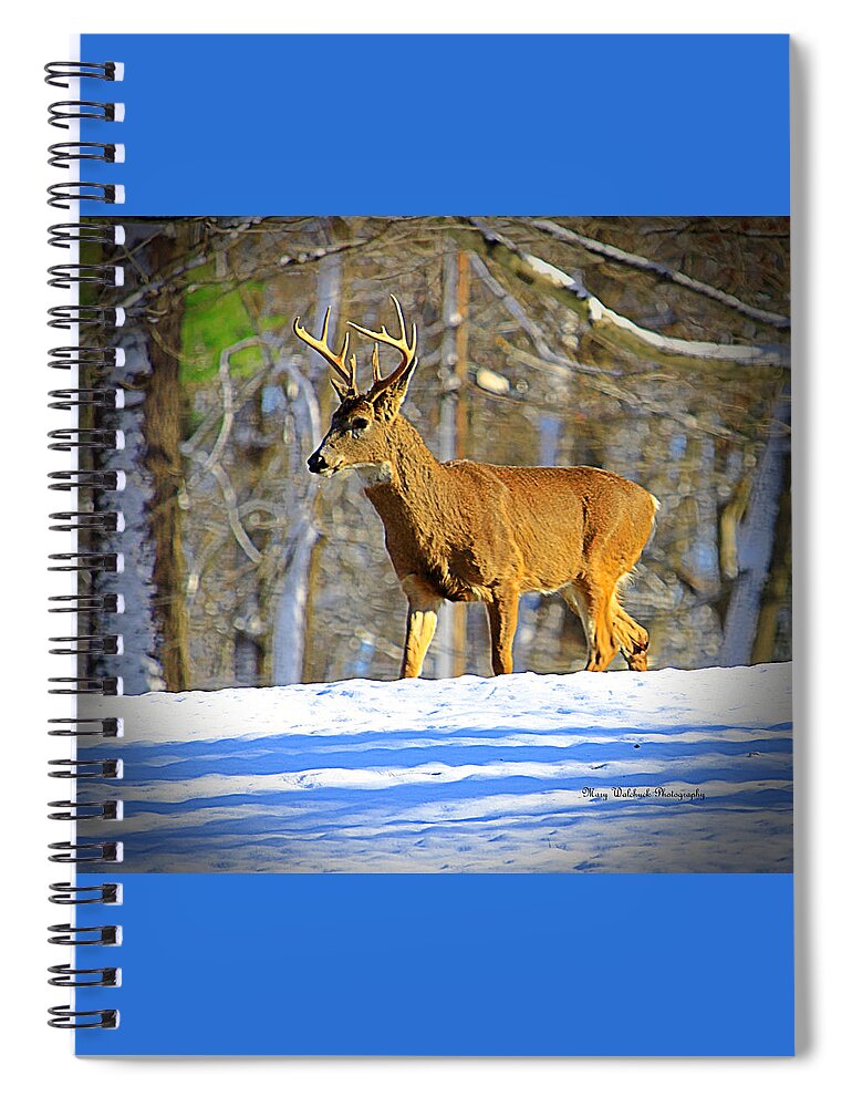 Deer Spiral Notebook featuring the photograph Winter Buck by Mary Walchuck