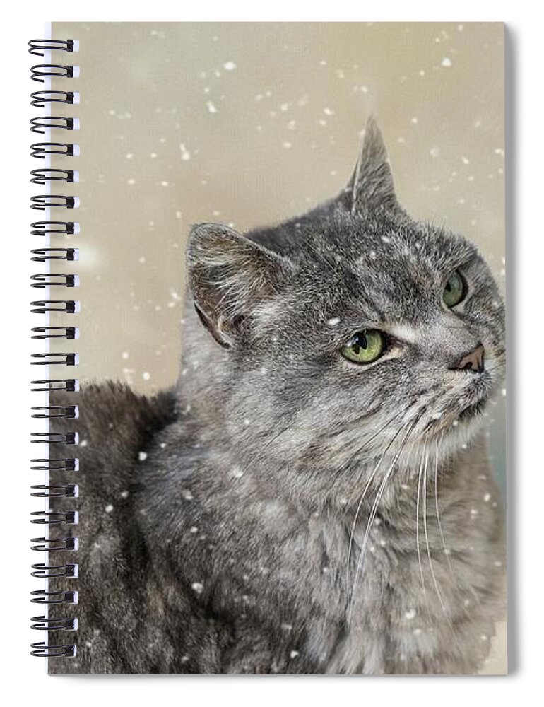 Cat Spiral Notebook featuring the photograph Winter Cat by Eva Lechner