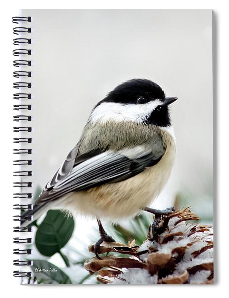 Chickadee Spiral Notebook featuring the photograph Winter Chickadee by Christina Rollo