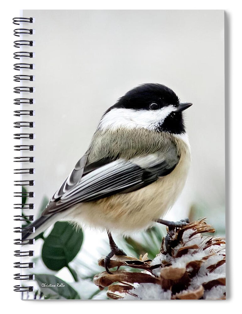 Winter Spiral Notebook featuring the photograph Winter Chickadee Square by Christina Rollo