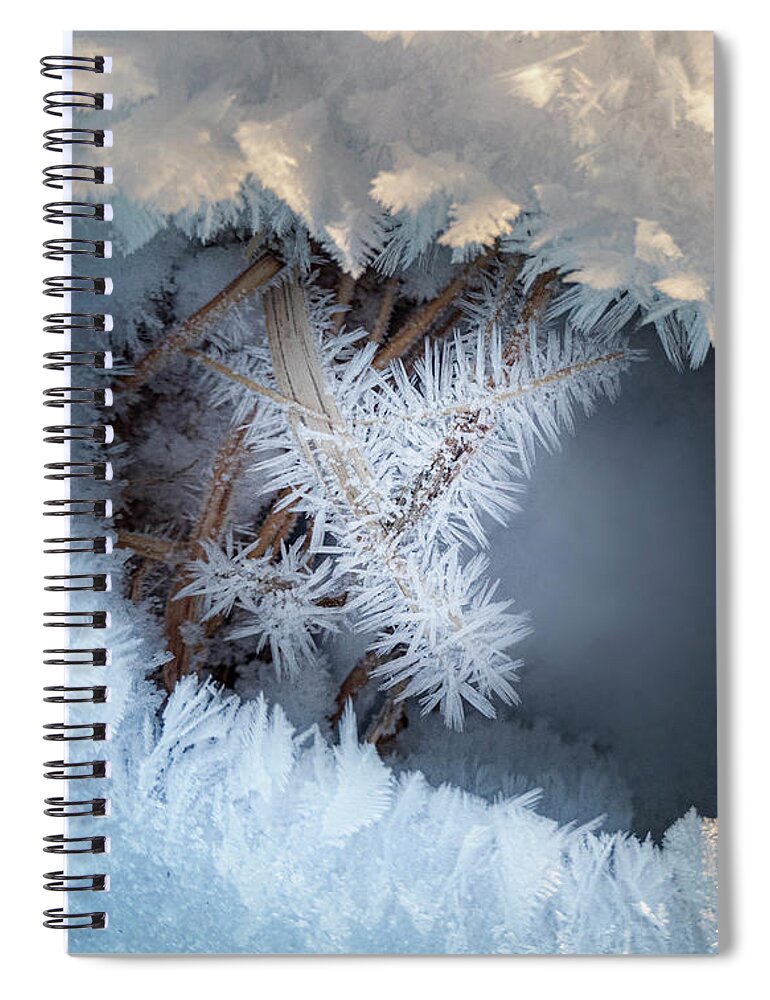 Winter Spiral Notebook featuring the photograph Winter Eye Pattern by Karen Rispin
