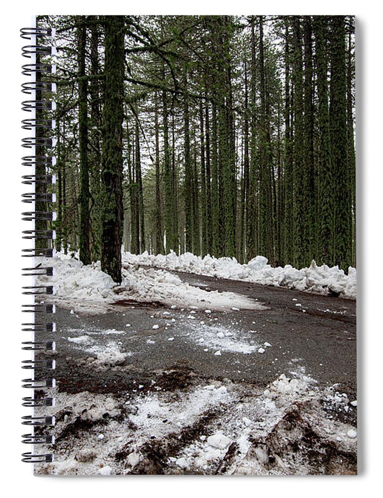 Wintertime Spiral Notebook featuring the photograph Winter forest landscape with snow on the ground by Michalakis Ppalis