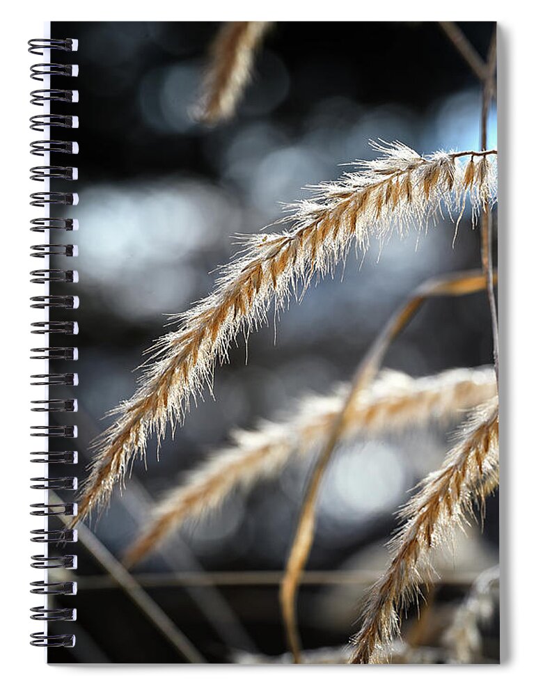 Grain Spiral Notebook featuring the photograph Winter Grain by Steven Nelson