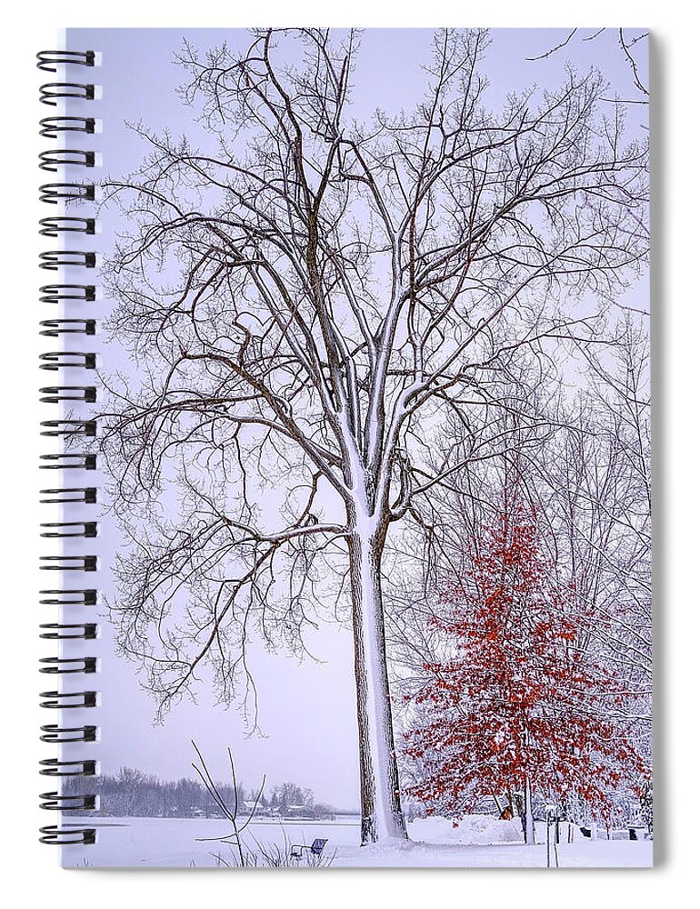 White Spiral Notebook featuring the photograph Winter, i don't wanna a lose red by Carl Marceau