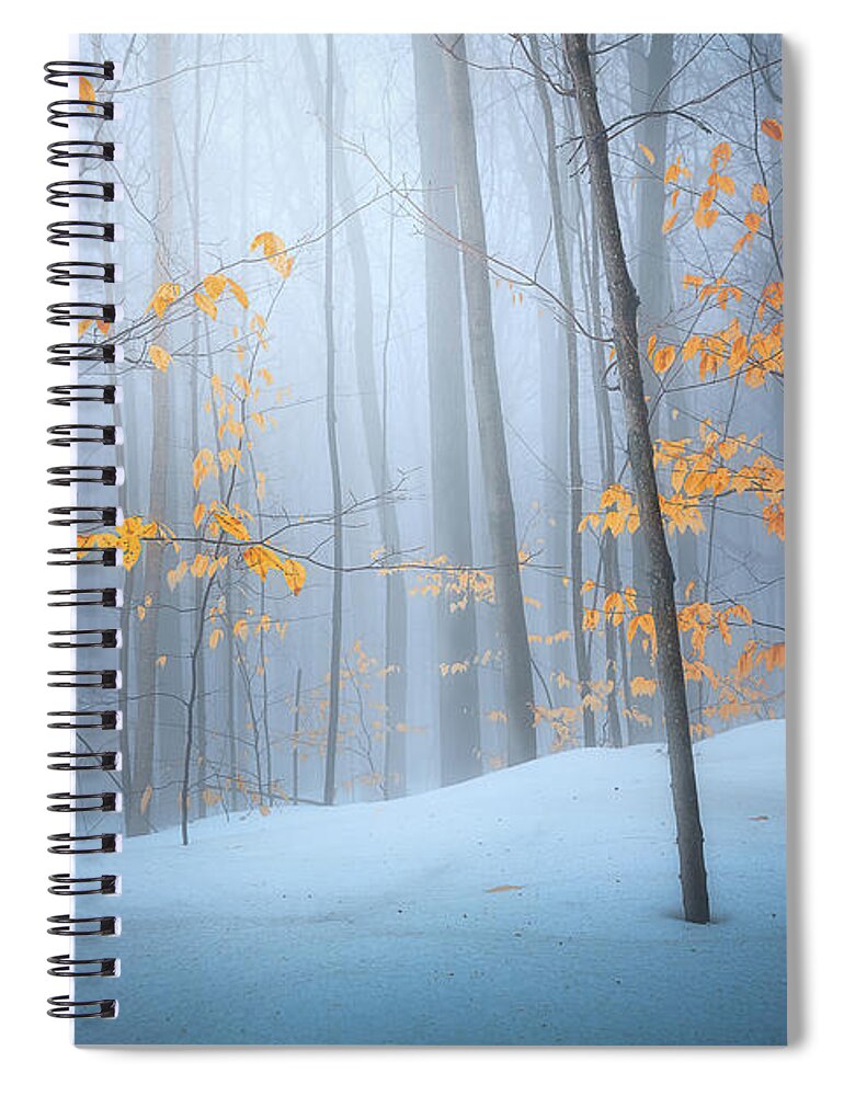 Winter Spiral Notebook featuring the photograph Winter in forest by Henry w Liu
