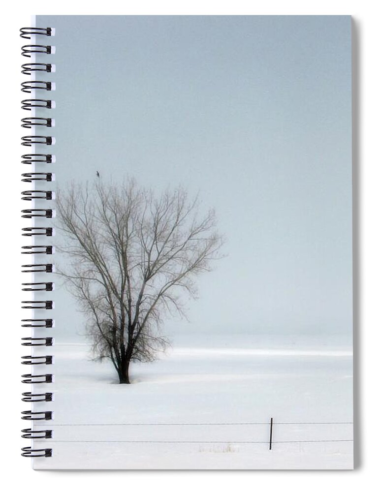 Hawk Spiral Notebook featuring the photograph Winter Lone Tree and Hawk by Amanda R Wright