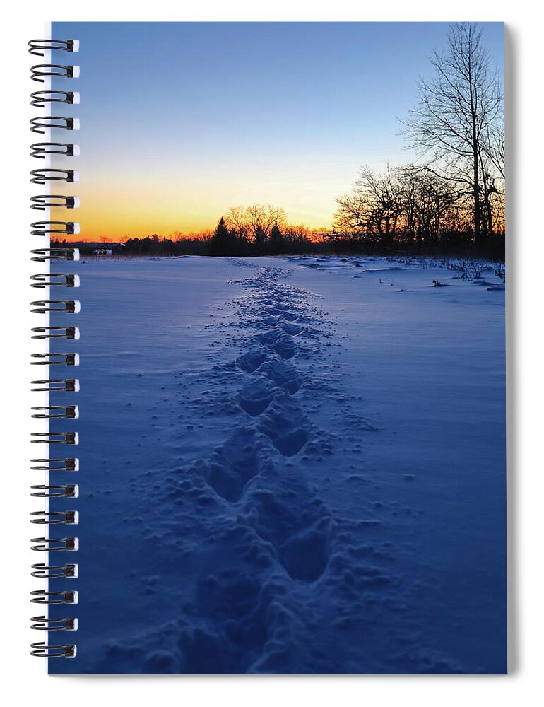Winter Morning Footsteps Spiral Notebook featuring the photograph Winter Morning Footsteps by Dan Sproul