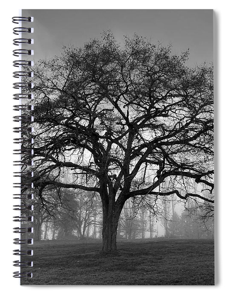 Winter Spiral Notebook featuring the photograph Winter Morning Tree Silhouette BW by Jerry Abbott