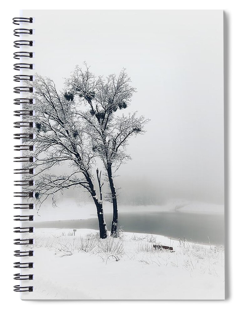 Black And White Spiral Notebook featuring the photograph Winter Oak by Steph Gabler