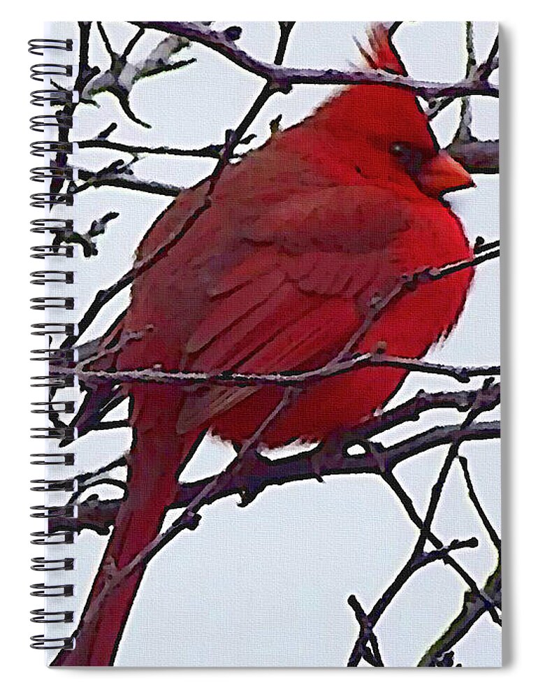 Redbird Spiral Notebook featuring the mixed media Winter Red Bird, a cardinal in winter by Shelli Fitzpatrick