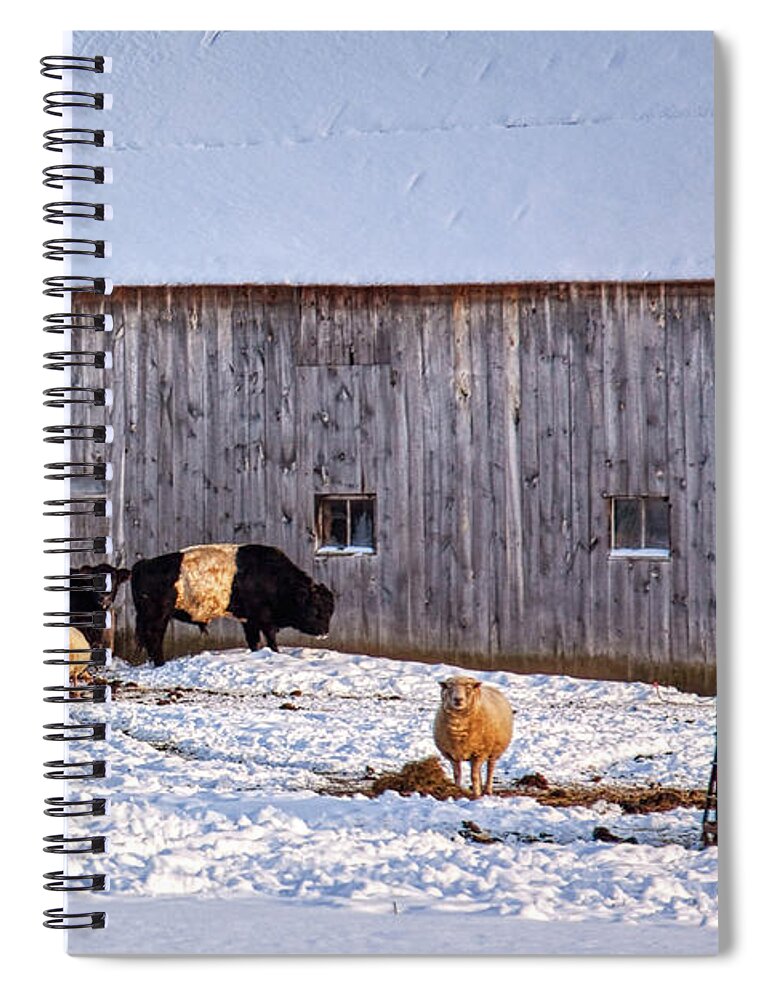 Winter Spiral Notebook featuring the photograph Winter sunny day at the farm by Tatiana Travelways