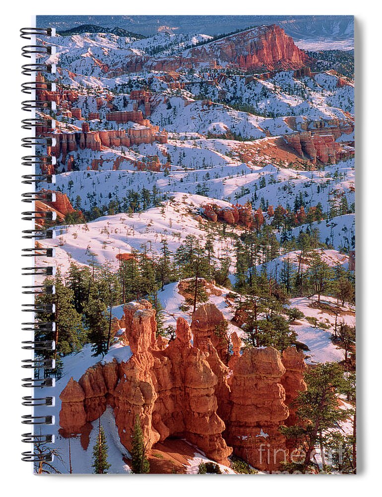 Dave Welling Spiral Notebook featuring the photograph Winter Sunrise Bryce Canyon National Park by Dave Welling