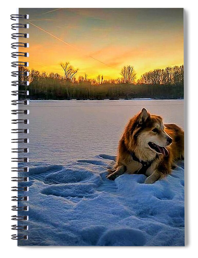  Spiral Notebook featuring the photograph Winter Sunset by Brad Nellis