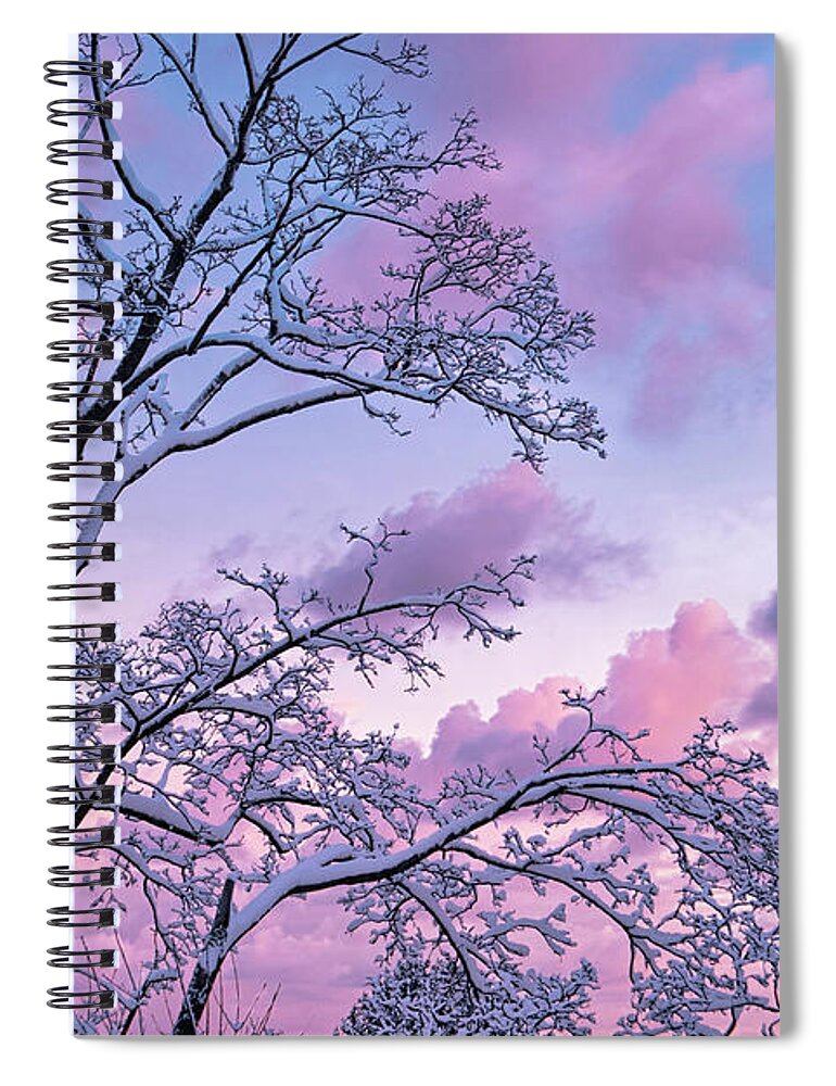 Nature Spiral Notebook featuring the photograph Winter Sunset by June Marie Sobrito