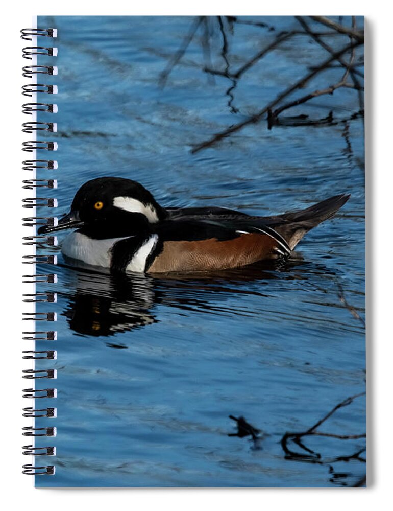 Bird Spiral Notebook featuring the photograph Winter Visitor by Cathy Kovarik