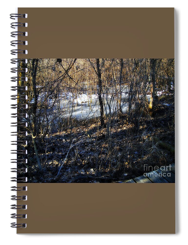 Landscape Photography Spiral Notebook featuring the photograph Winter Wetlands by the Trail by Frank J Casella